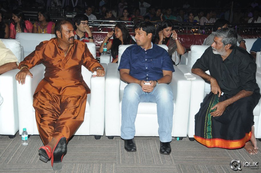 Current-Theega-Movie-Success-Meet